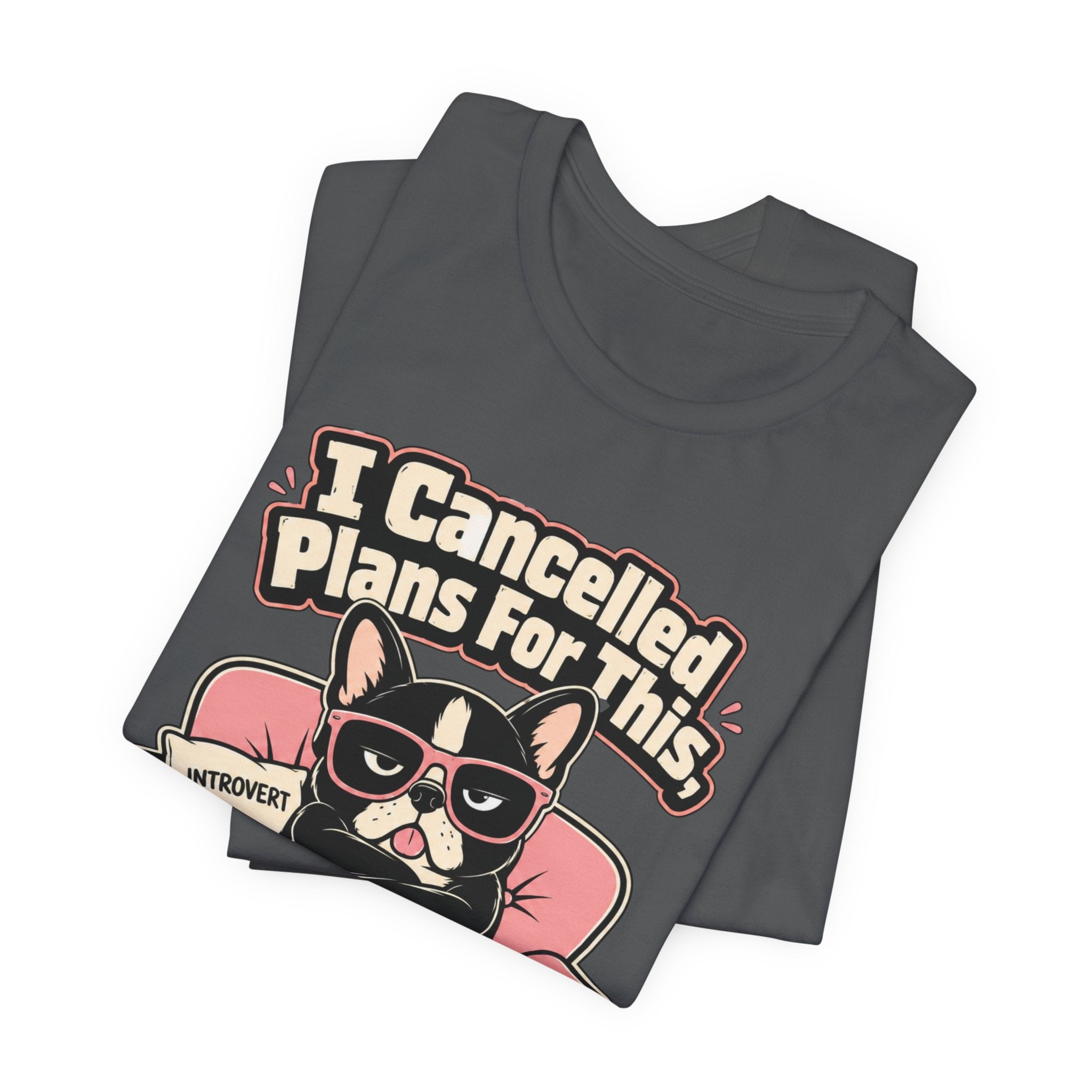I Cancelled Plans T-Shirt