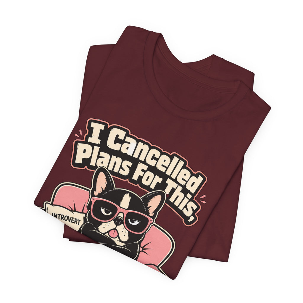 I Cancelled Plans T-Shirt