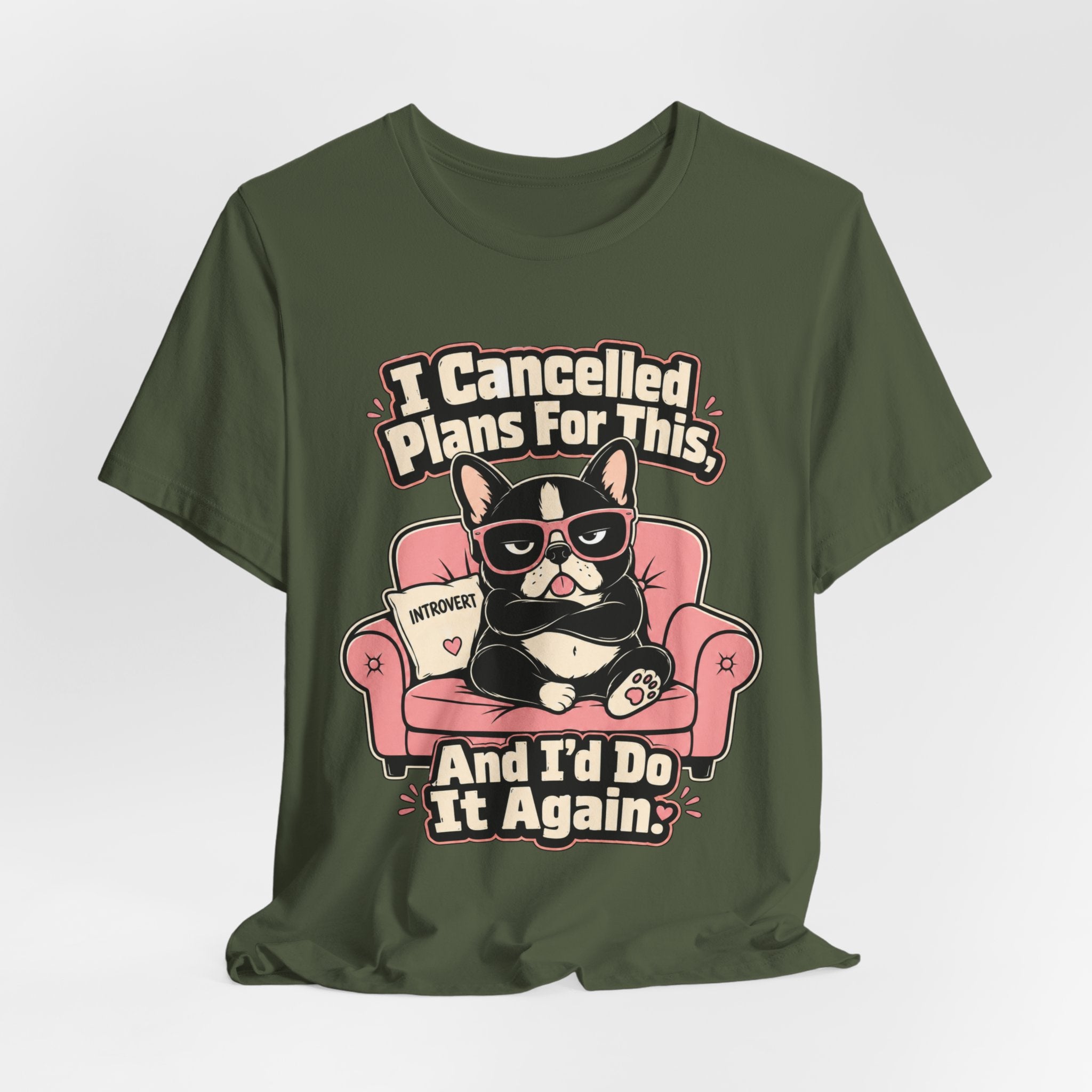 I Cancelled Plans T-Shirt