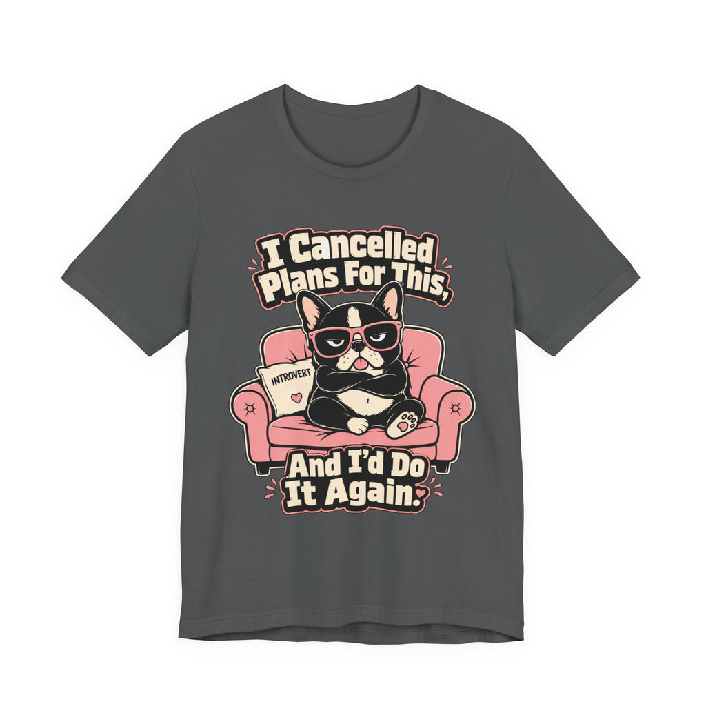 I Cancelled Plans T-Shirt