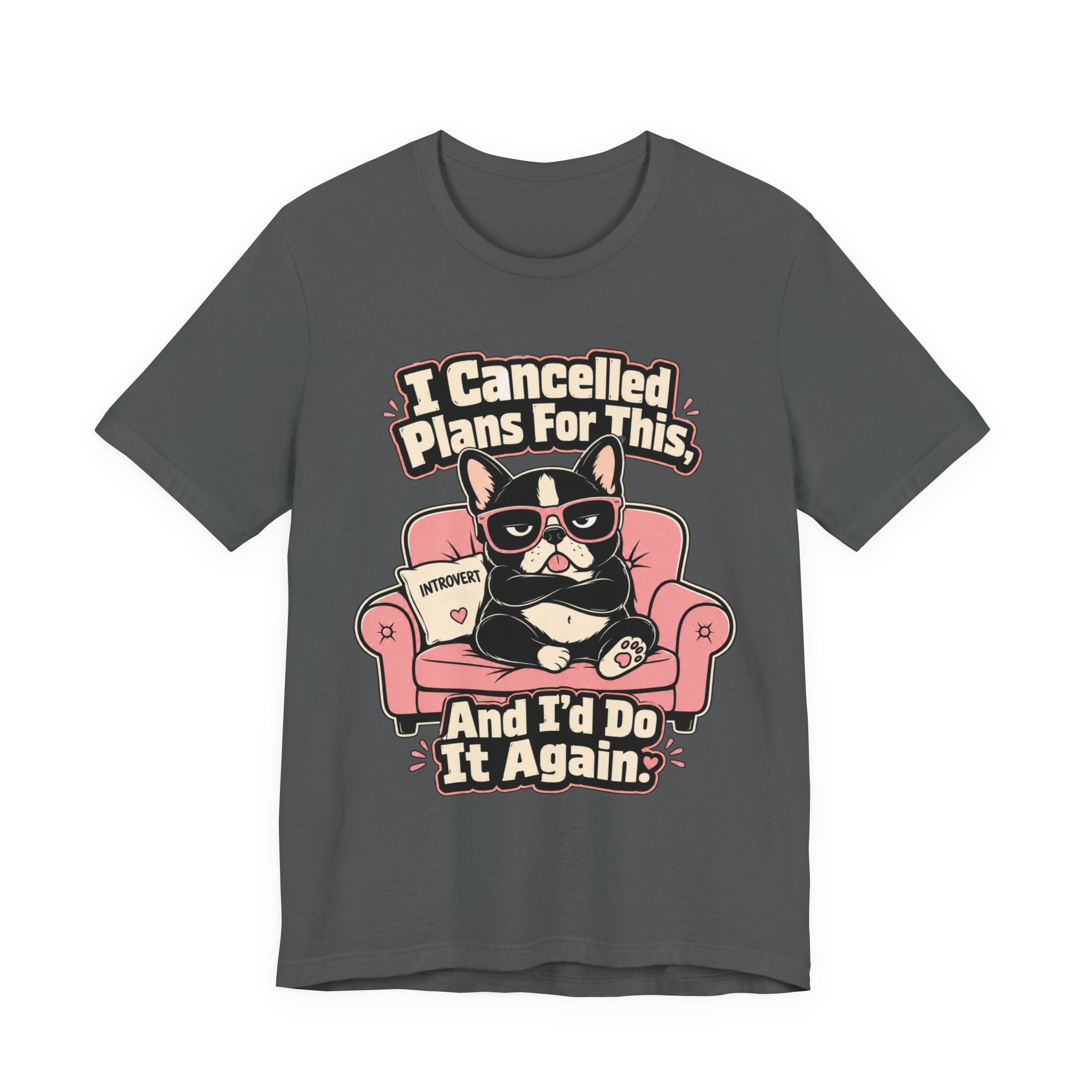 I Cancelled Plans T-Shirt