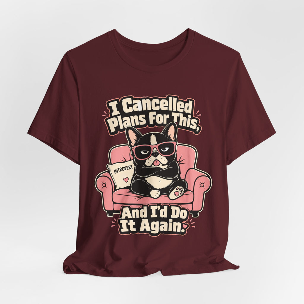 I Cancelled Plans T-Shirt