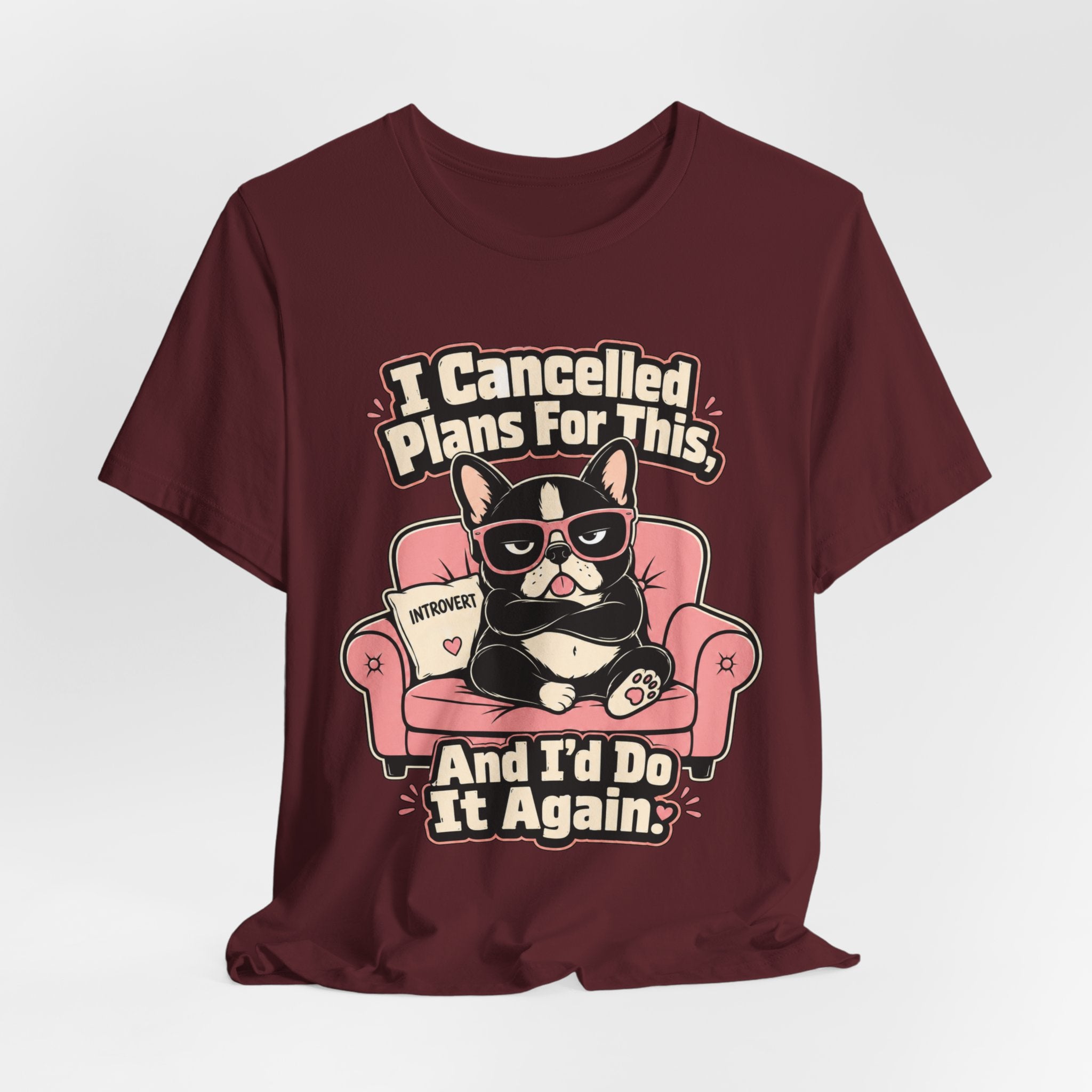 I Cancelled Plans T-Shirt