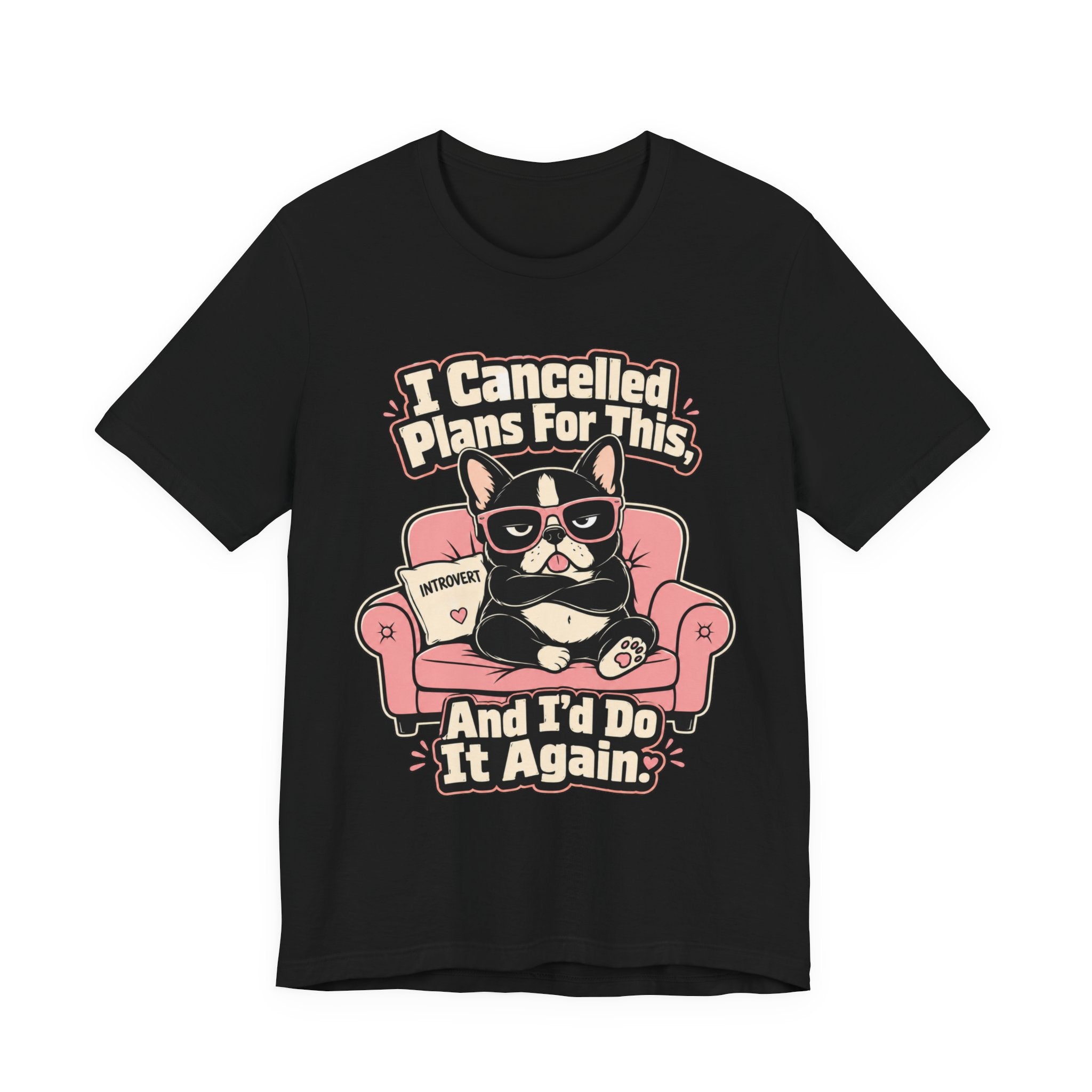 I Cancelled Plans T-Shirt