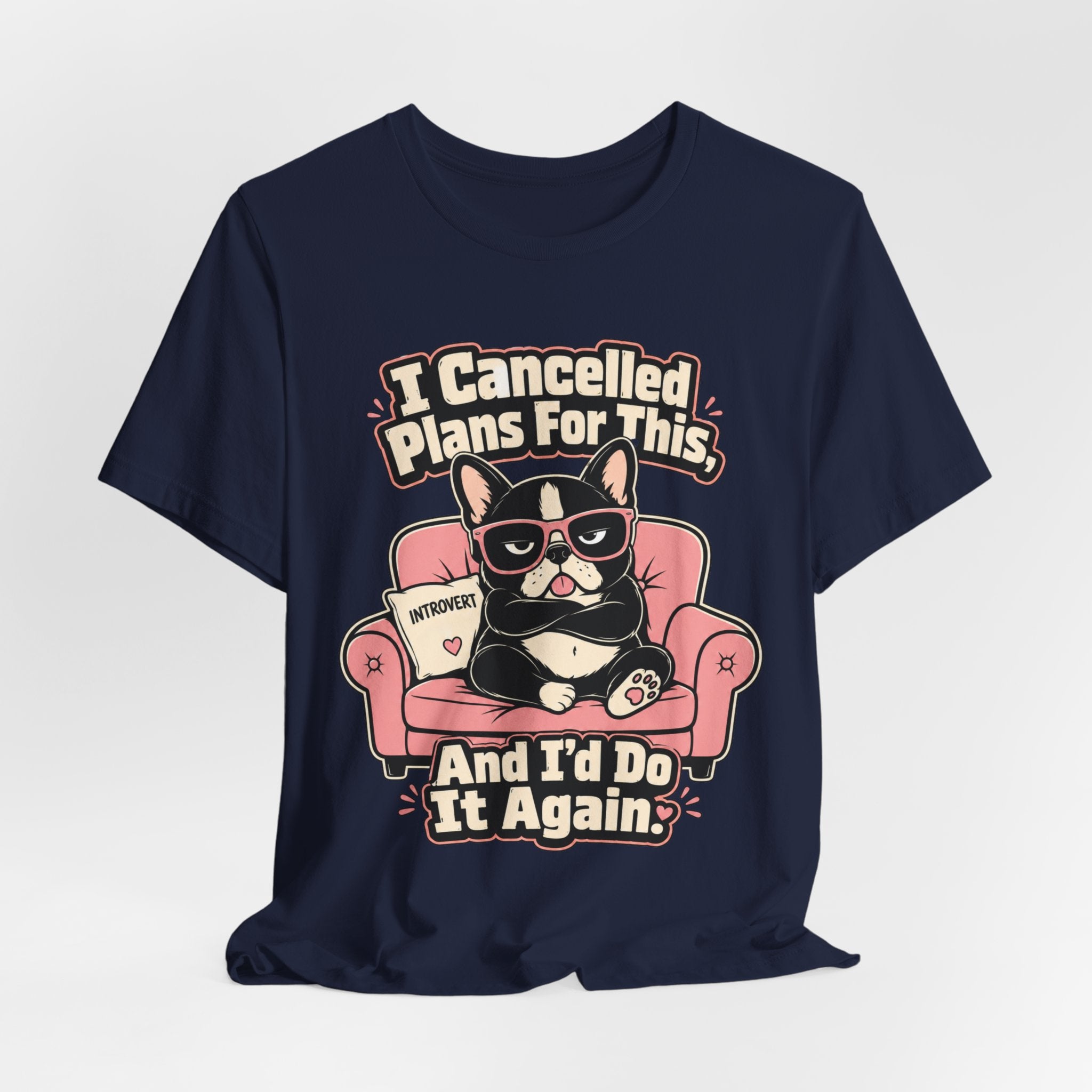 I Cancelled Plans T-Shirt