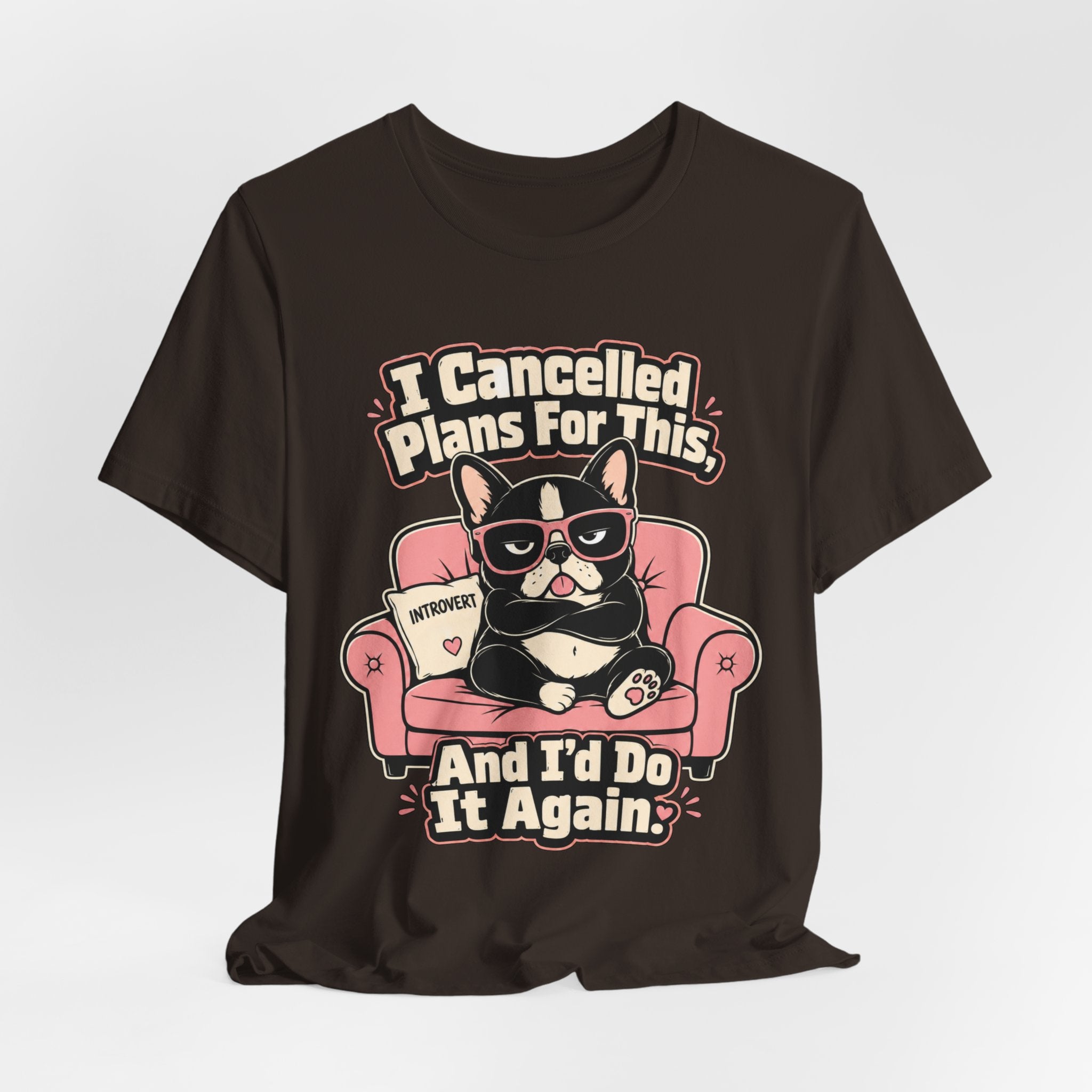 I Cancelled Plans T-Shirt