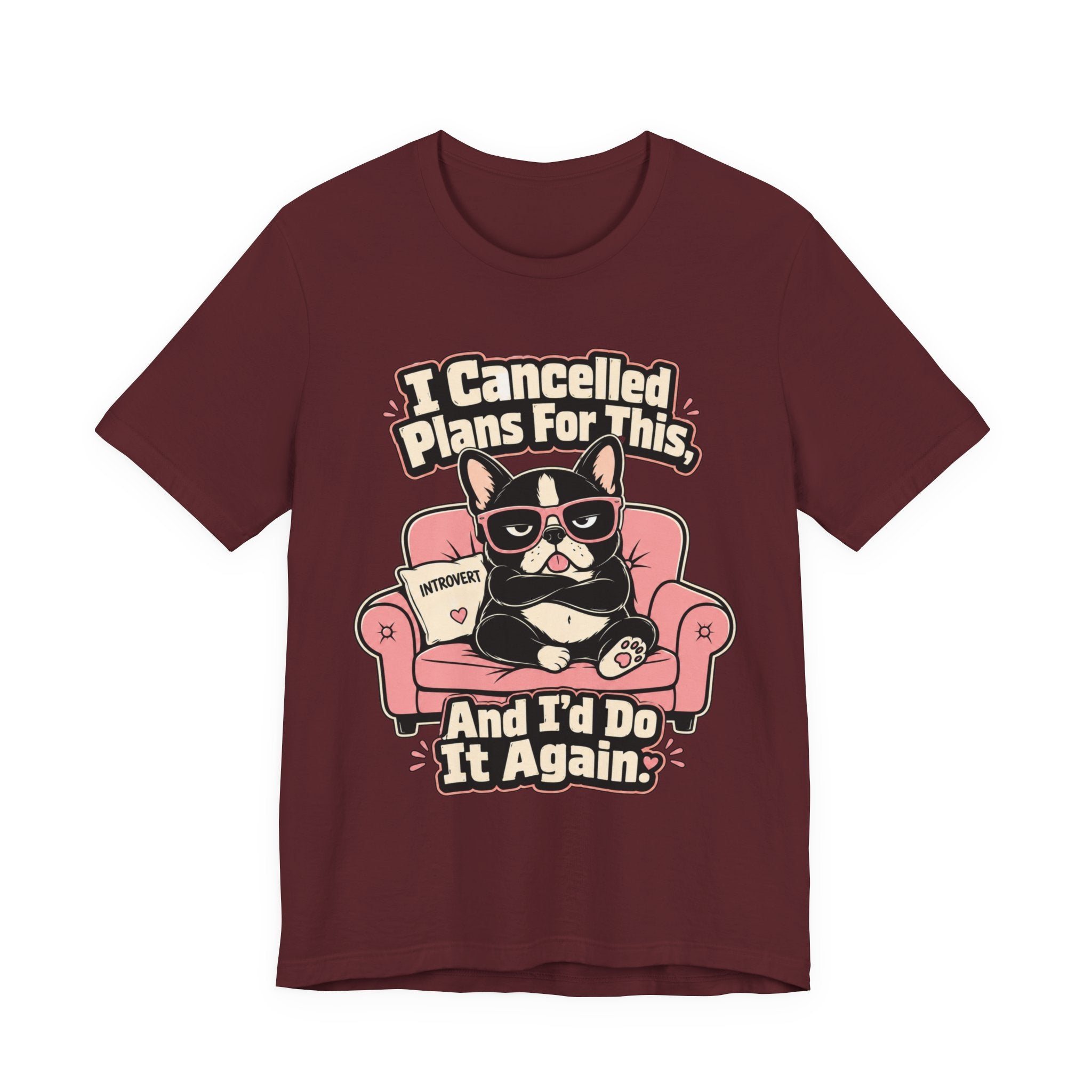 I Cancelled Plans T-Shirt