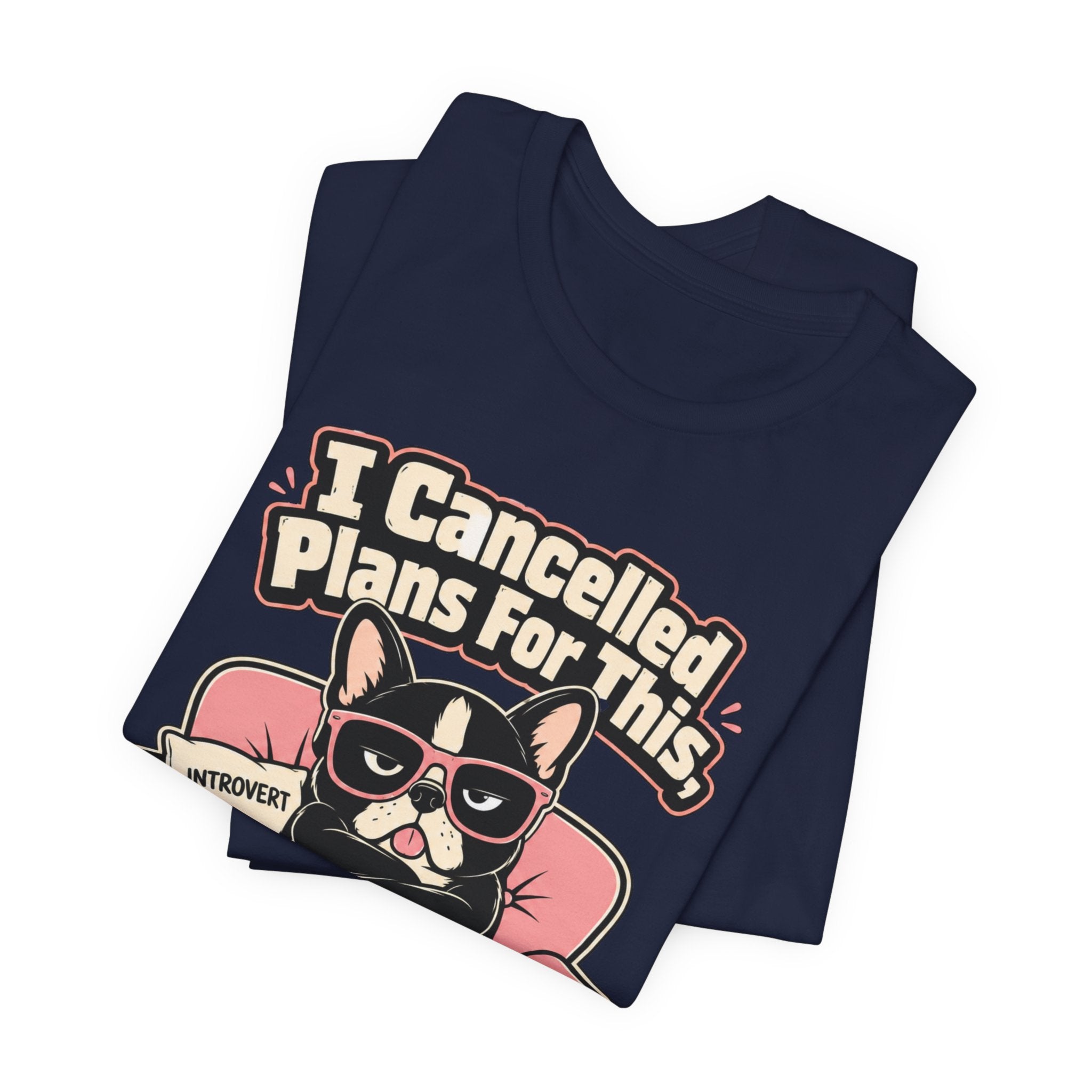 I Cancelled Plans T-Shirt