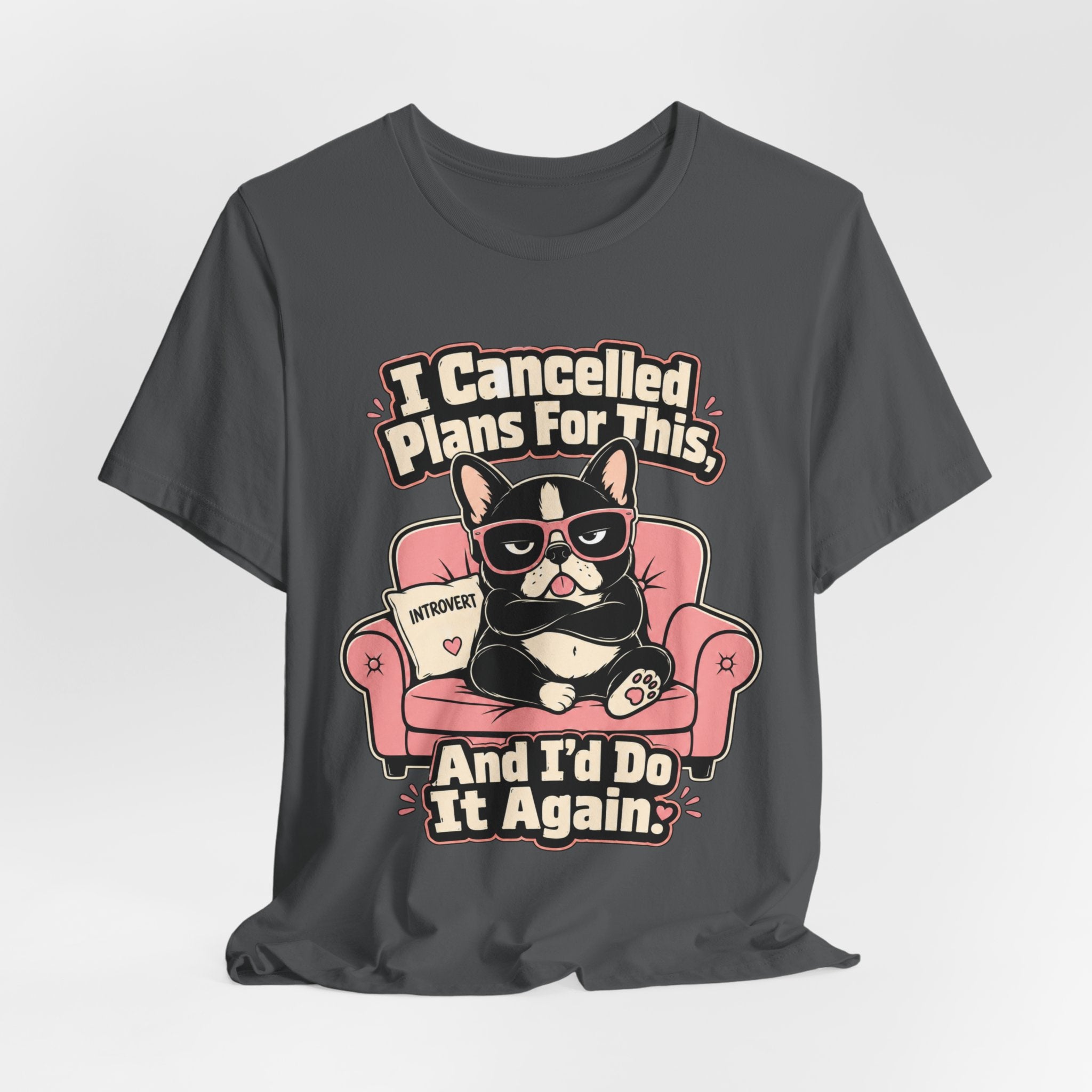 I Cancelled Plans T-Shirt